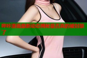 哔咔漫画最新动态揭秘是否真的被封禁了